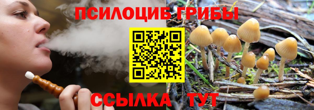 Галлюциногенные грибы ЛСД  Вход с VPN  Костомукша 